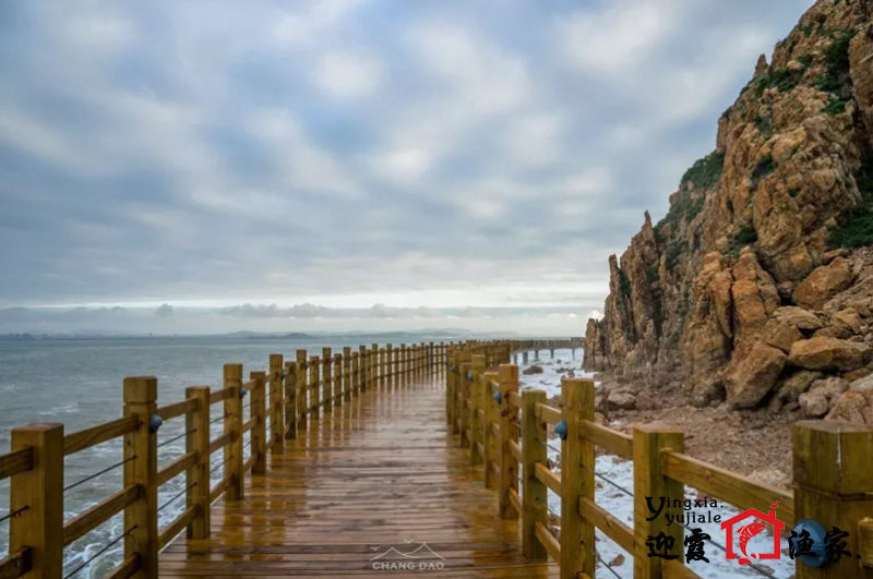 长岛林海景区风景图