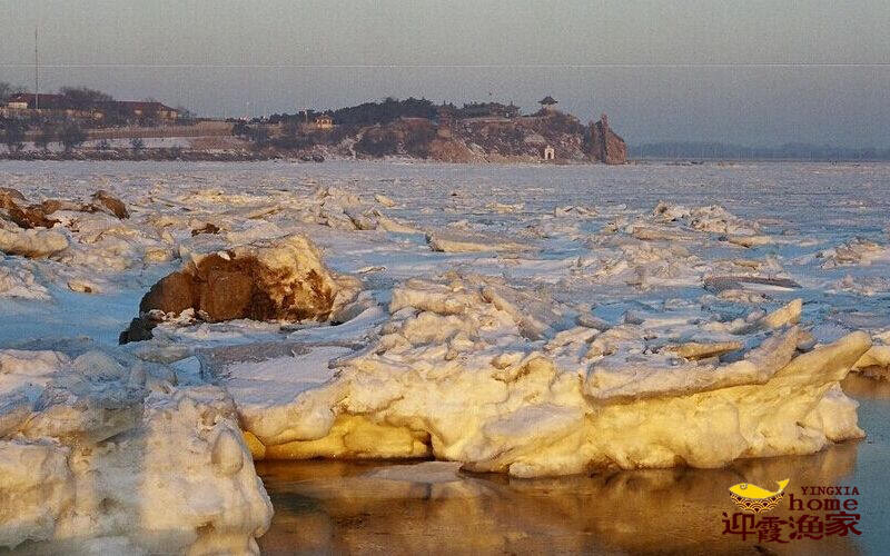 你见过大海结冰吗？长岛的海冰景象