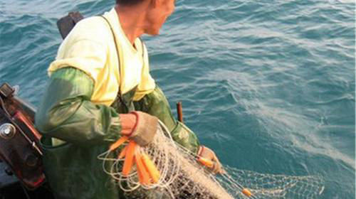跟着长岛渔家乐渔民出海打渔怎么收费？