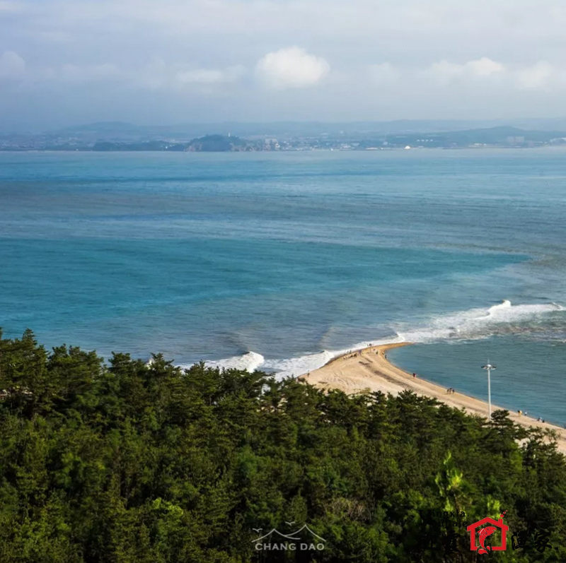 长岛林海景区风景图