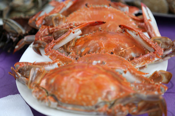 渔家海鲜餐饮三