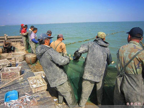 跟着长岛渔家乐渔民出海打渔怎么收费？
