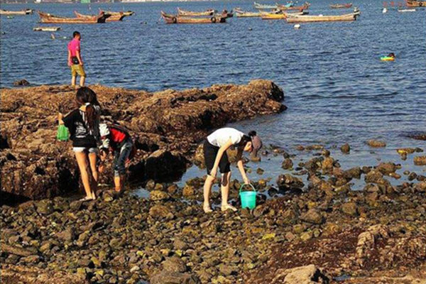 中国最适合赶海的休闲度假岛屿