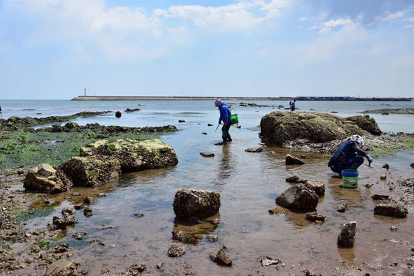 中国最适合赶海的休闲度假岛屿