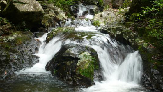 南平蟹龙岗游玩旅游指南