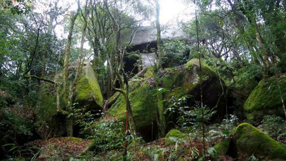 南平蟹龙岗游玩旅游指南