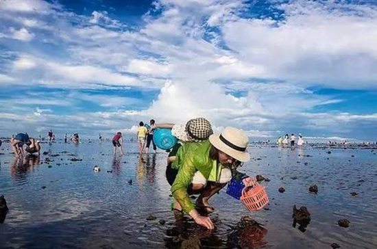 国内适合赶海的海边小渔村_赶海好去处