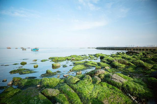 山东最适合宜居和旅游的城市,竟然是它！