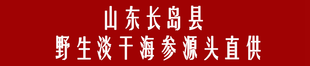 长岛老渔民直供长岛野生底播海参