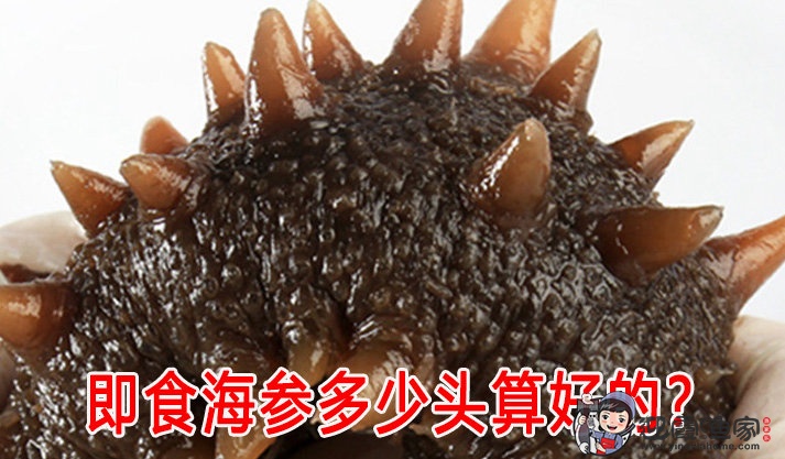 多少头的即食海参算是好海参? | 玩奢网