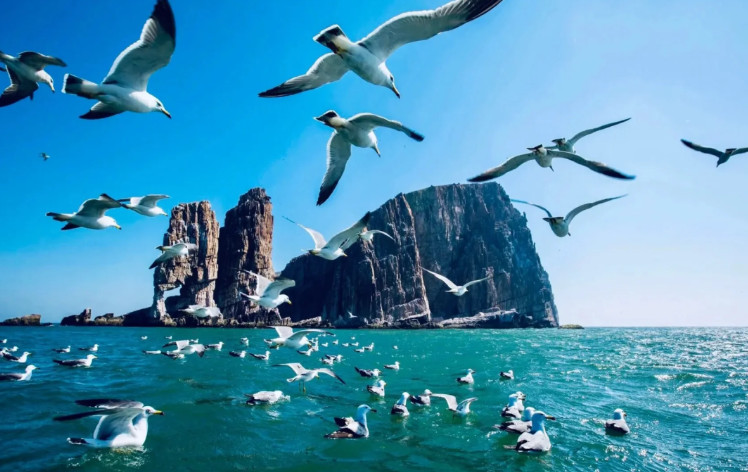 长岛旅游景点有哪些？本地人整理32个必玩景点+深度攻略（含地图）